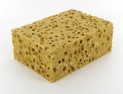 Pflanzlicher Schwamm_thumbnail Pflanzlicher Schwamm_thumbnail