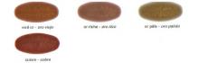 Farbe TOLEMAIL Gold_2 Farbe TOLEMAIL Gold_2