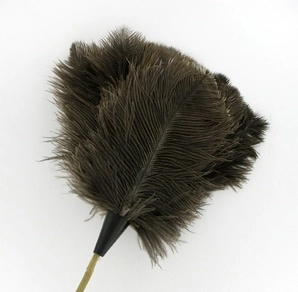 Staubwedel aus Zucht-Straussenfedern